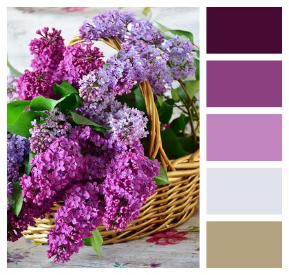 Happy Mothers Day Flower Basket Lilac Image